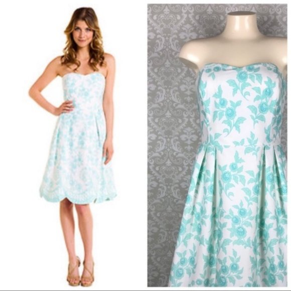 J. McLaughlin Dresses & Skirts - J McLaughlin Aqua Green & White Fit Flare Dress 10